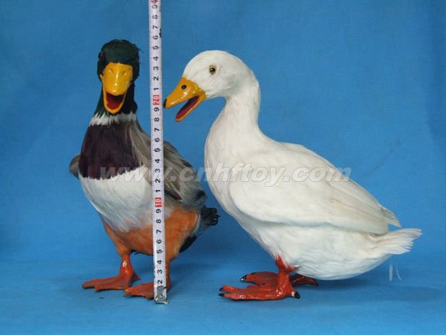 皮毛玩(wán)具鴨：YZ016義烏楚傑工藝品有限公司