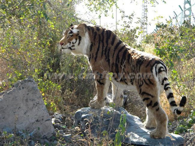 私人(rén)訂制(zhì)：ZCPY712-39義烏楚傑工藝品有限公司