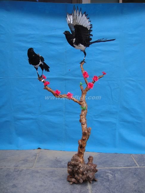 仿真标本：Bb002義烏楚傑工藝品有限公司