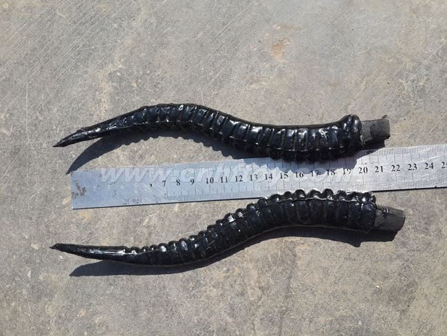 其它工(gōng)藝品：Q027義烏楚傑工藝品有限公司