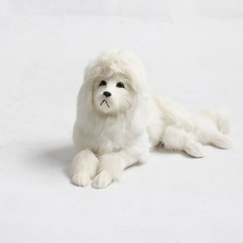 蹲貴賓犬 貴婦犬 富貴犬萌狗狗 仿真動物(wù)